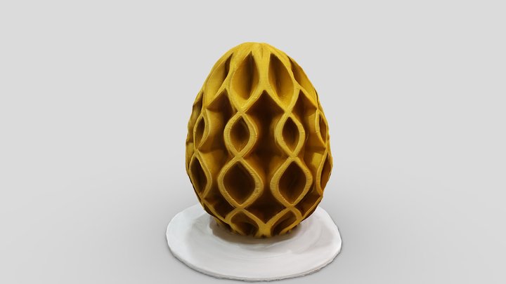 Egg Test 3D Model