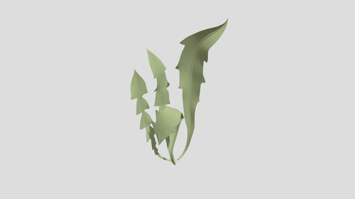 Dandelion Leaves_sketchfabtest01 3D Model