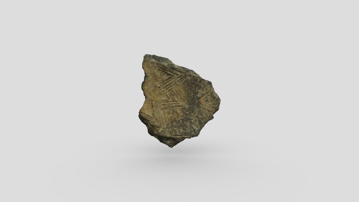 Fragmento Campaniforme CBI 3D Model