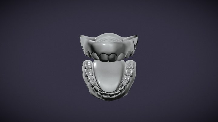 mouth 3D Model