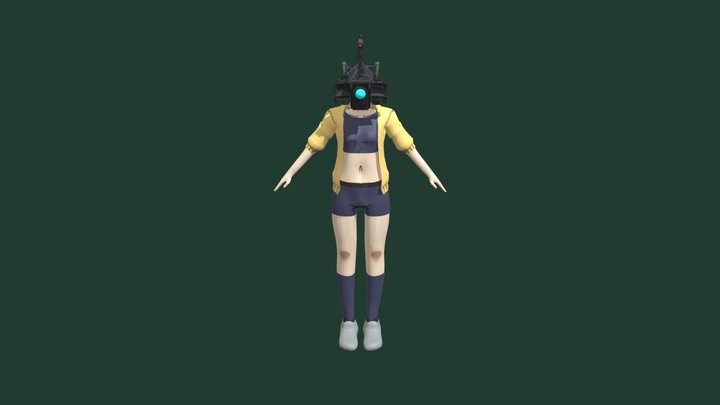 Camerahead Pico 3D Model