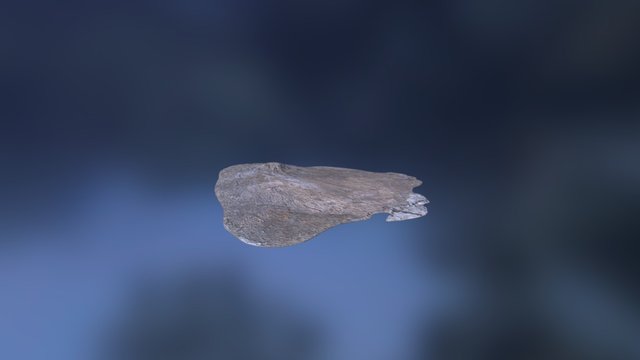 Leedsichthys Bone 10012 3D Model