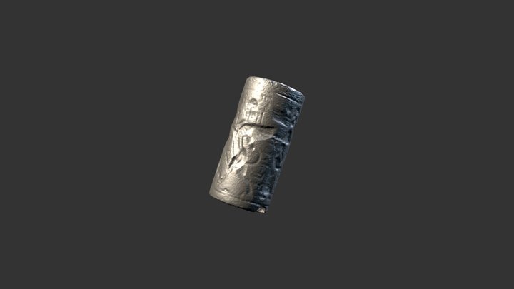 Cylinder Seal 1 3D Model