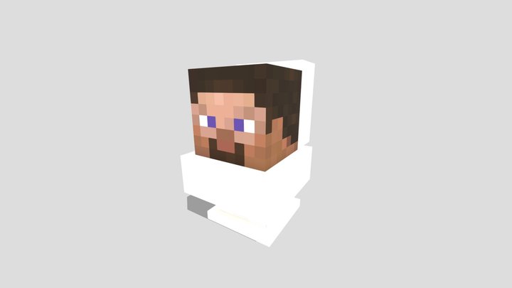 Minecraft Skibidi toilet 3D Model