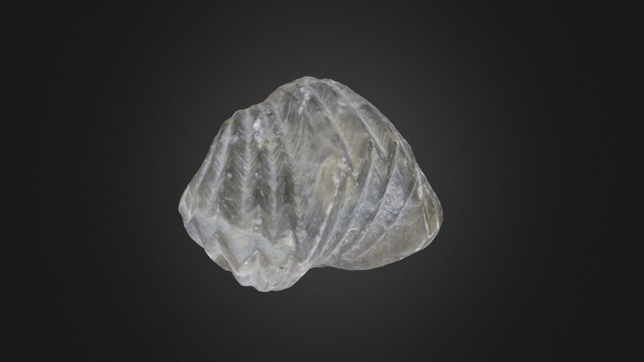 Vinlandostrophia ponderosa (PRI 70768) – Gratis 3D-model STL