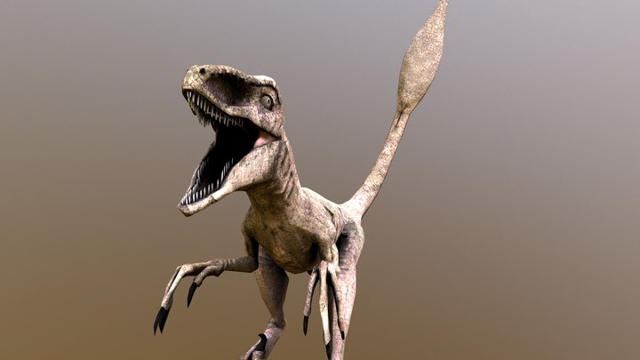 Veloceraptor 3D Model