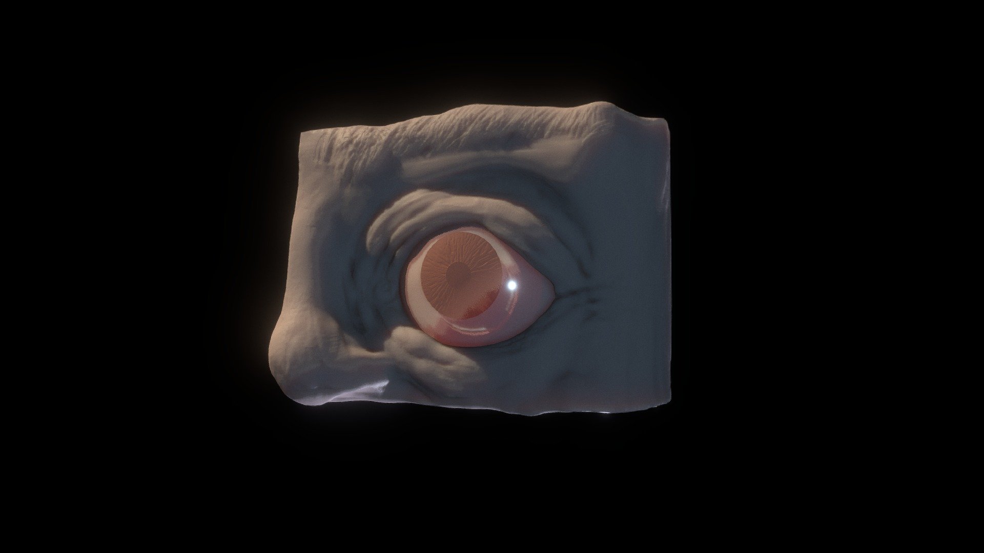 Eye SJ 08