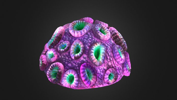 Brain Coral