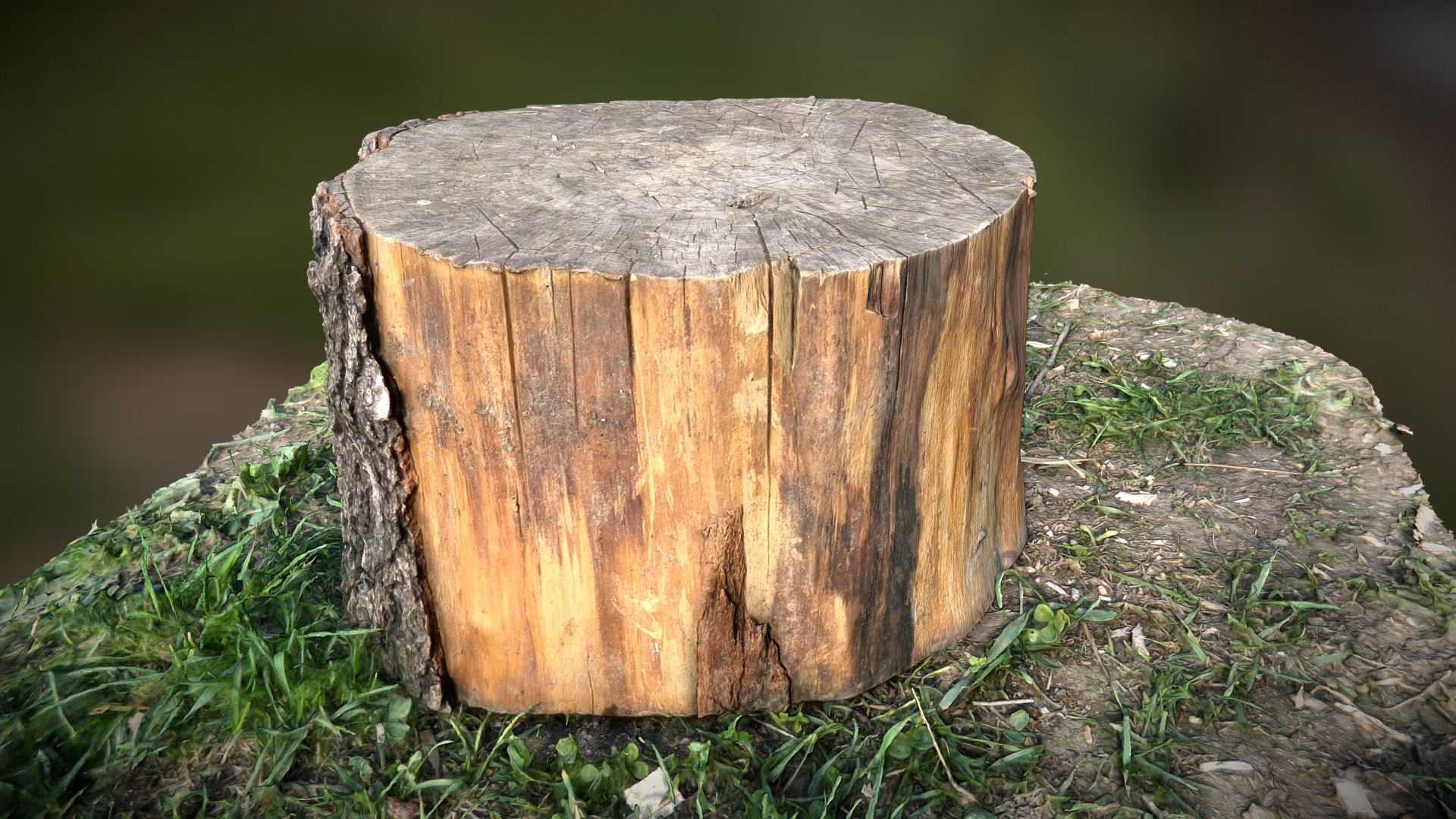 3D model Wood stump - This is a 3D model of the Wood stump. The 3D model is about a tree stump in the grass.