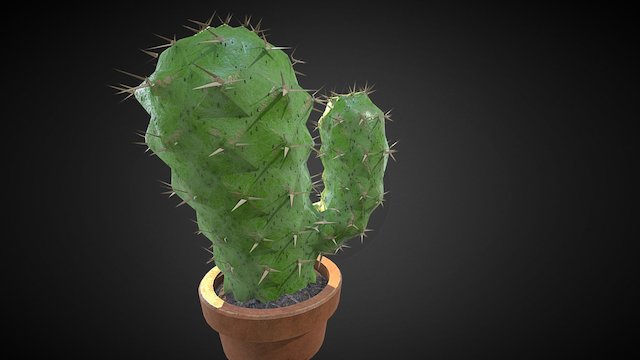 Cactus 3D Model