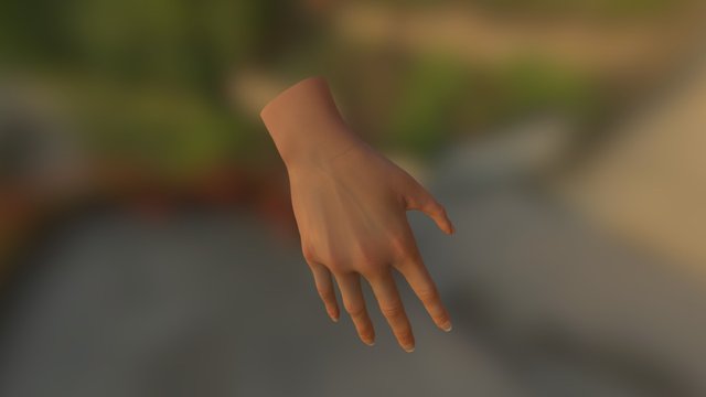 realistic hand 3D Model