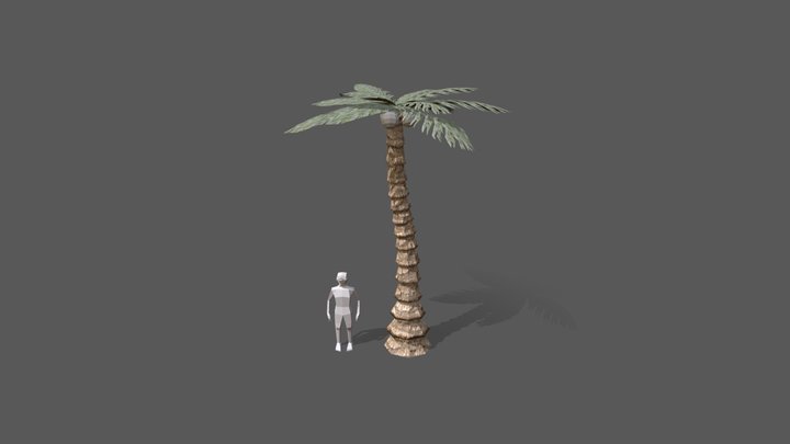 Palm_test 3D Model