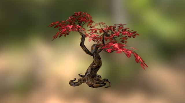 Tree 3D Model