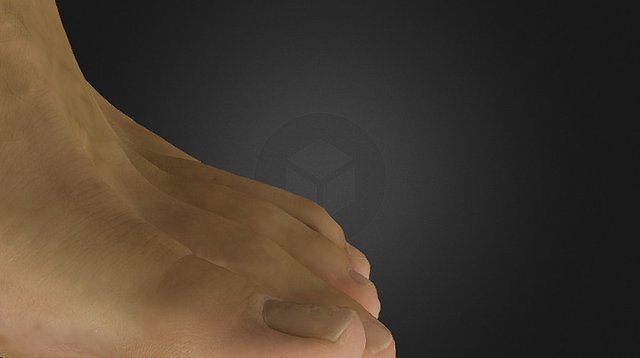 A foot – Modèle 3D gratuit STL