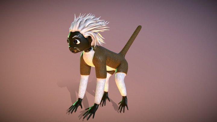 Cotton-top tamarin 3D Model