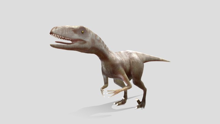 UTAH RAPTOR LOW POLY ASSET 3D Model