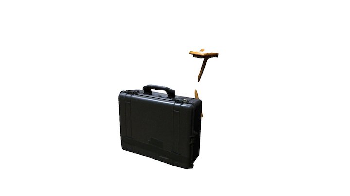 My First 3d Scan 3D Model