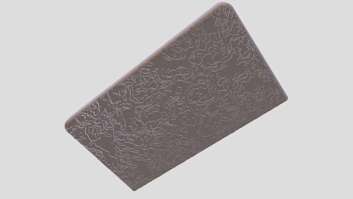 Topography ayn thor clippy lid