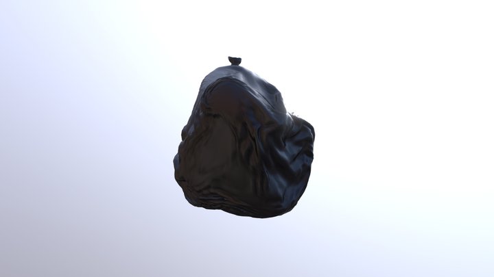 Trash Bag 3D Model