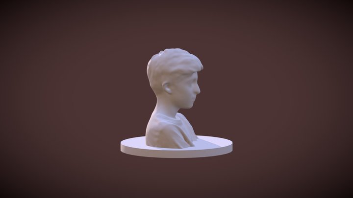 Model -D 3D Model