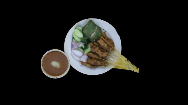The Satay 3D Model