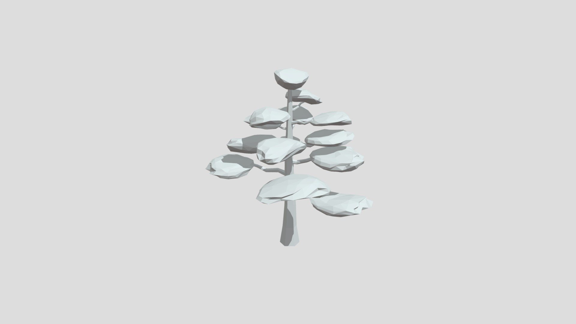 Bubinga Tree