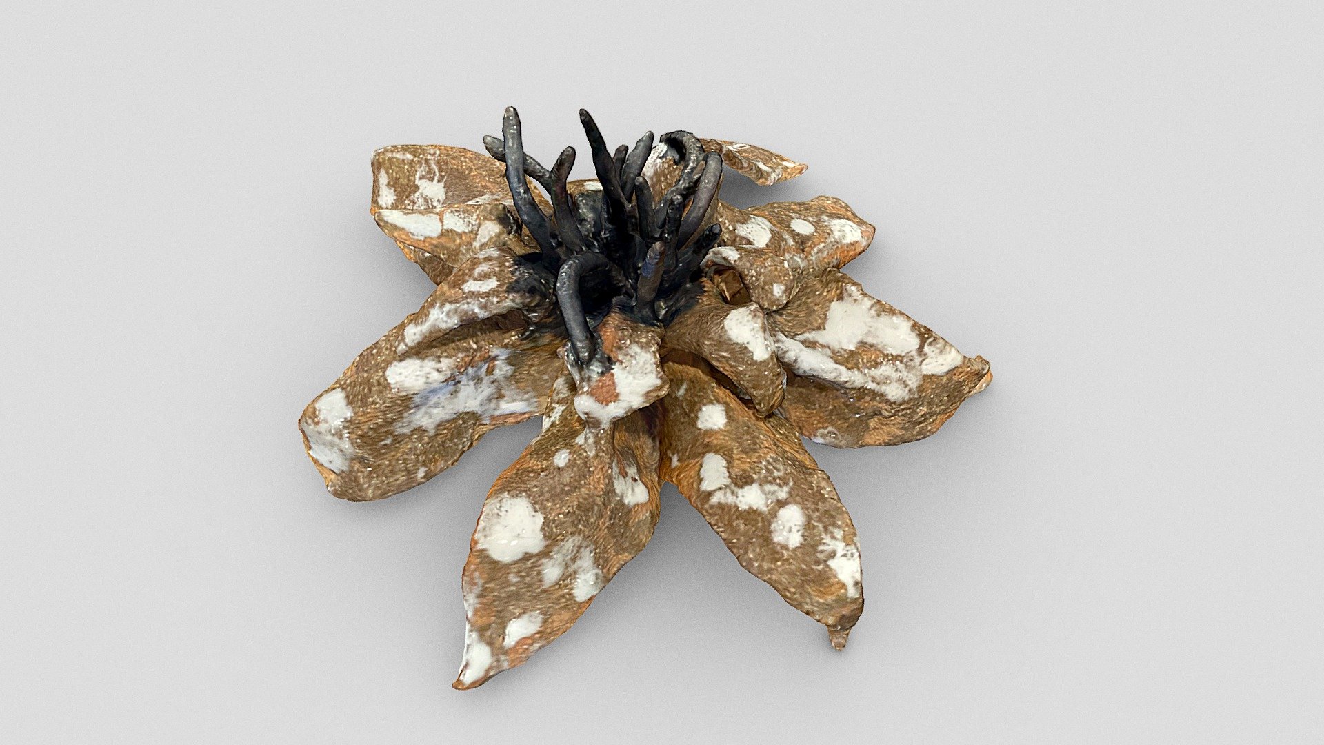 Sculpted flower - Brown & white spots