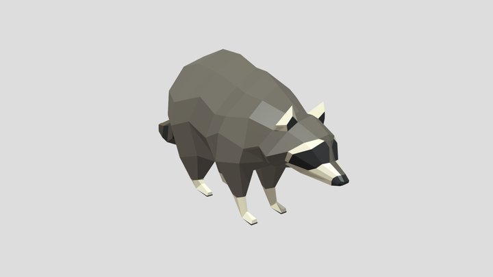Low poly raccoon 3D Model