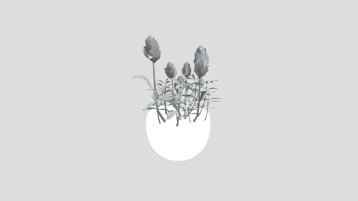 Plant Indian Lotus Pot Sml