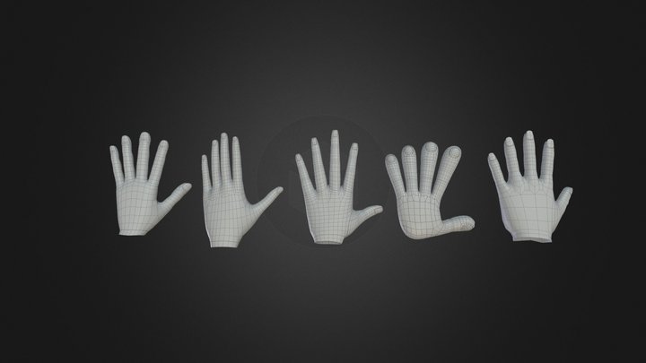 Hands 3D Model