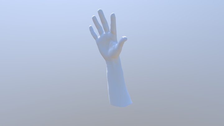 Arm 3D Model
