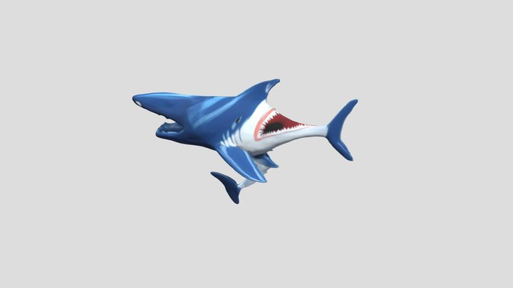 Fierce_Shark_1016065612 3D Model