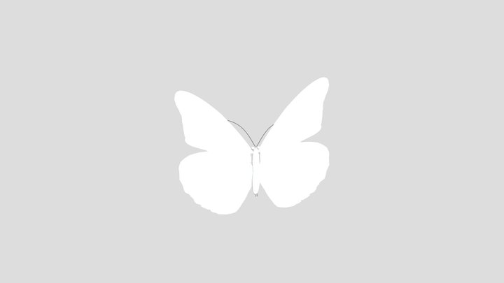 Butterfly 3D Model