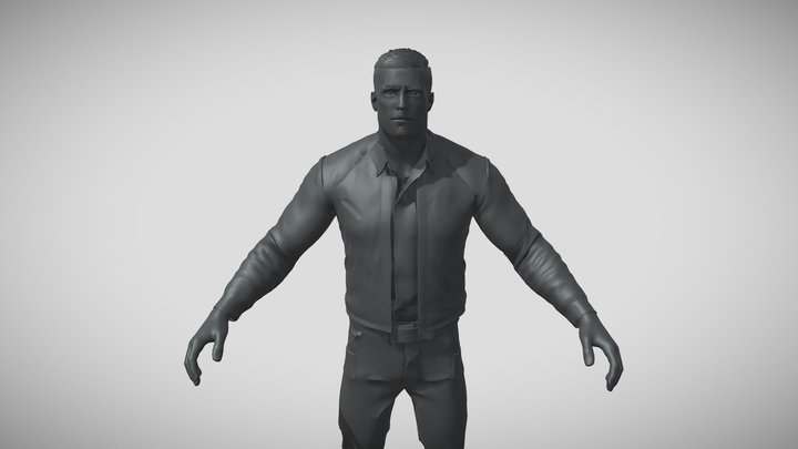 ⭐ Gunslighter Joe/Player STL -Wolf. New Colossus