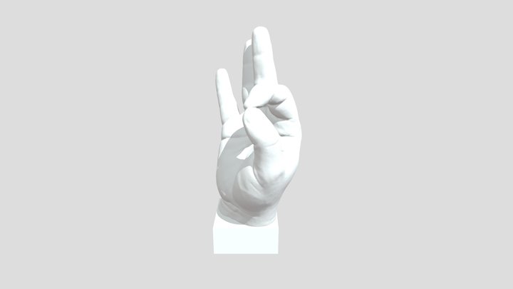 OK Hand Model 3D Model