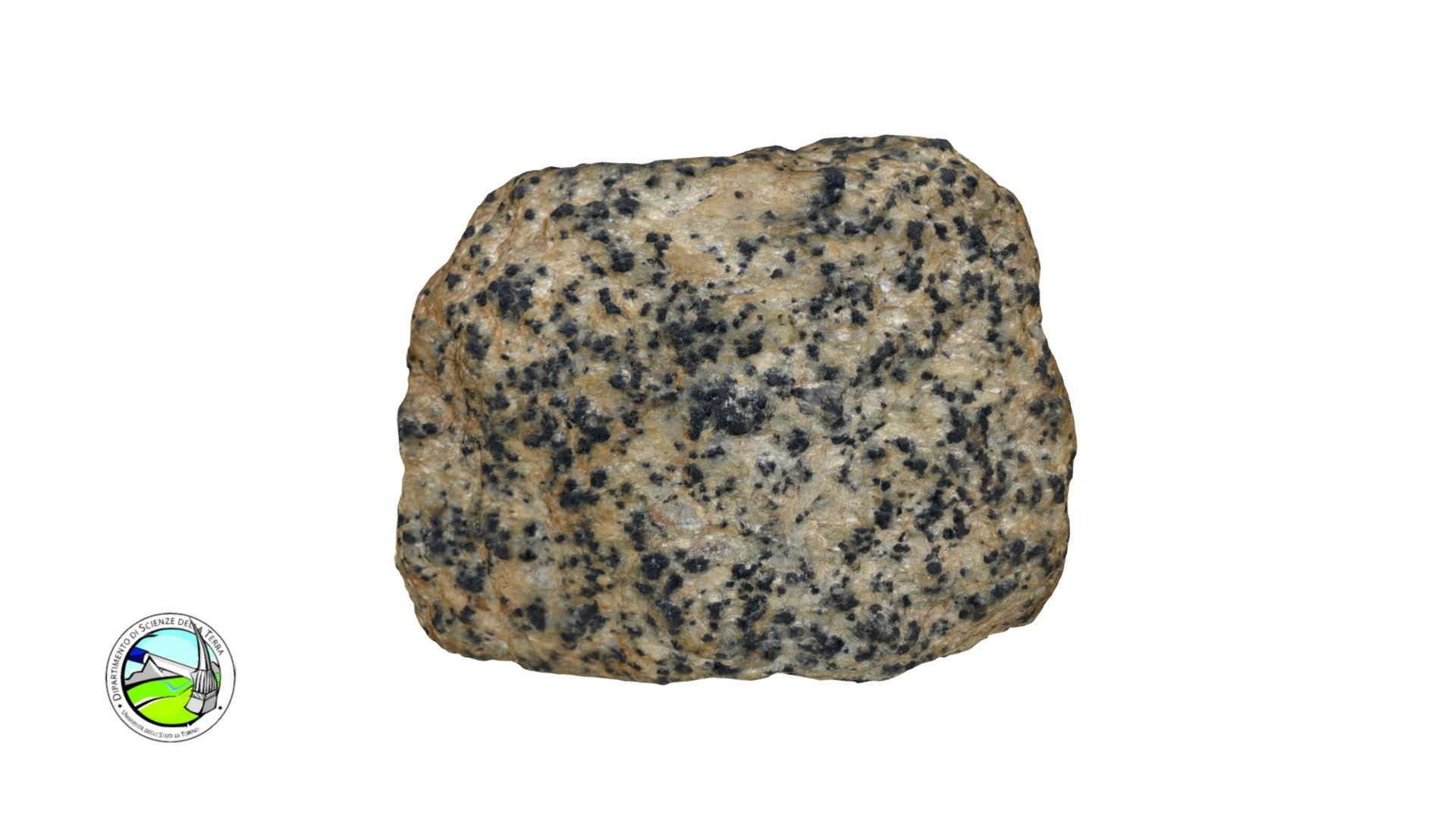 MAP4 - Micascisto argenteo a cloritoide - 3D model by Dipartimento di ...