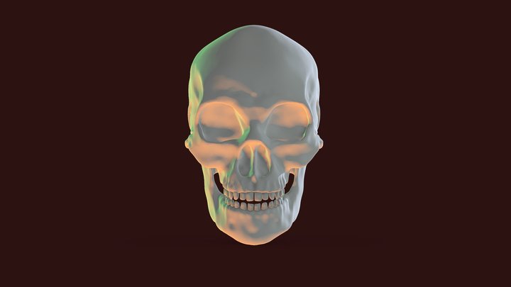 Skull 3D Model