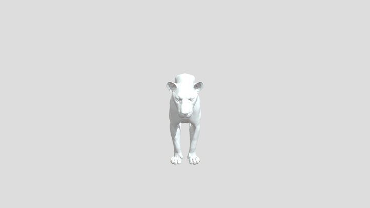 Female Lion 3D Model