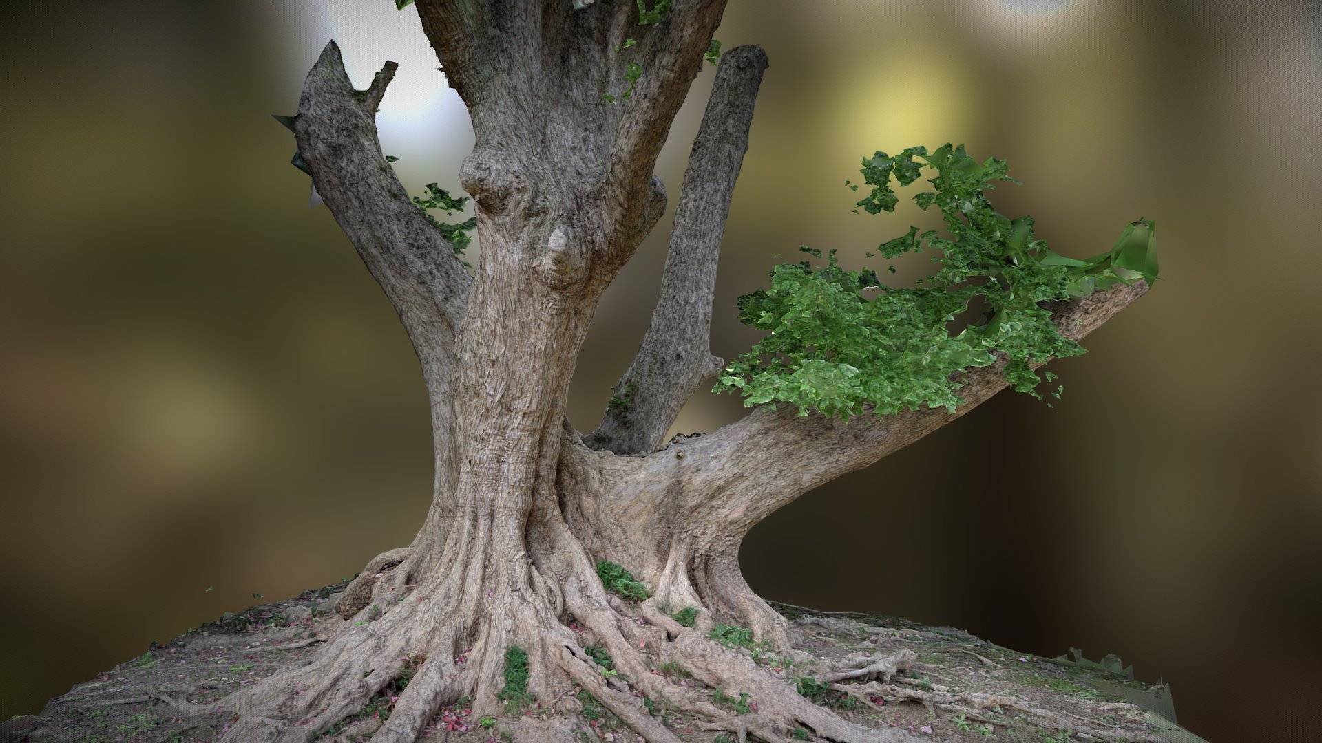 3D model Tree photogrammetry scan - This is a 3D model of the Tree photogrammetry scan. The 3D model is about a tree with a small plant growing on it.