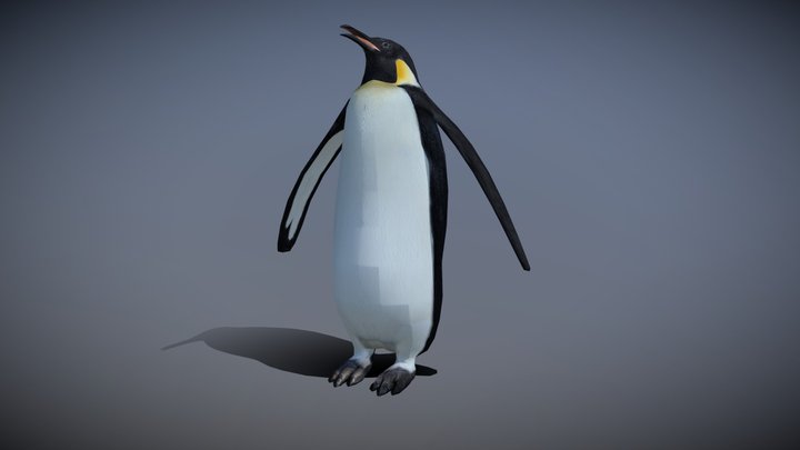 Wild animals - Penguin 3D Model