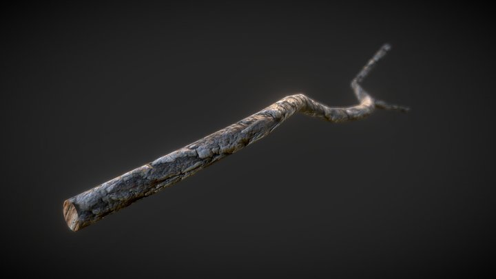 Tree Branch 3D Model