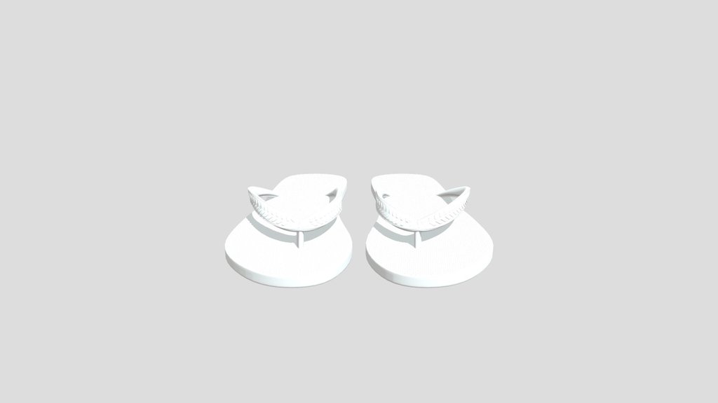 Flip Flops Footwear