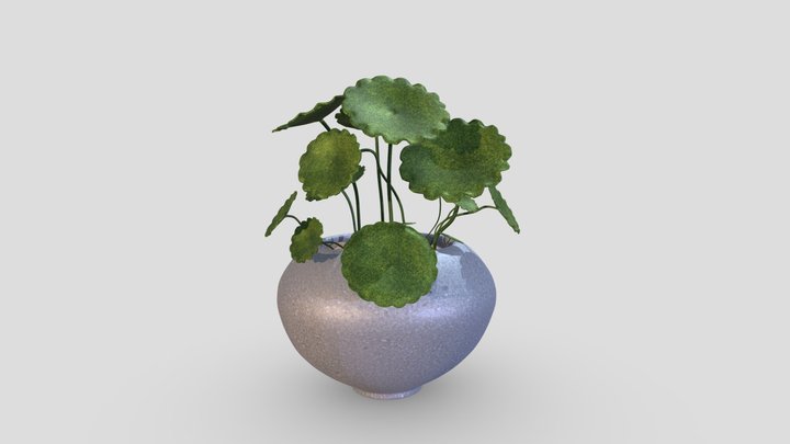 Wk9_Plants_Xiyin_Zhou 3D Model
