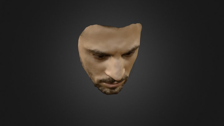 Face Scan Test 3D Model