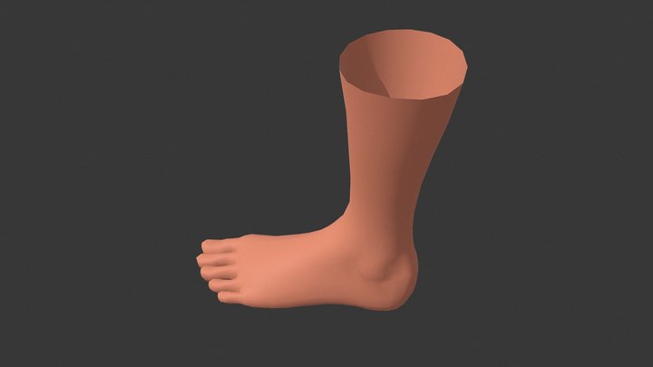 Foot 01 Basemesh 3D Model