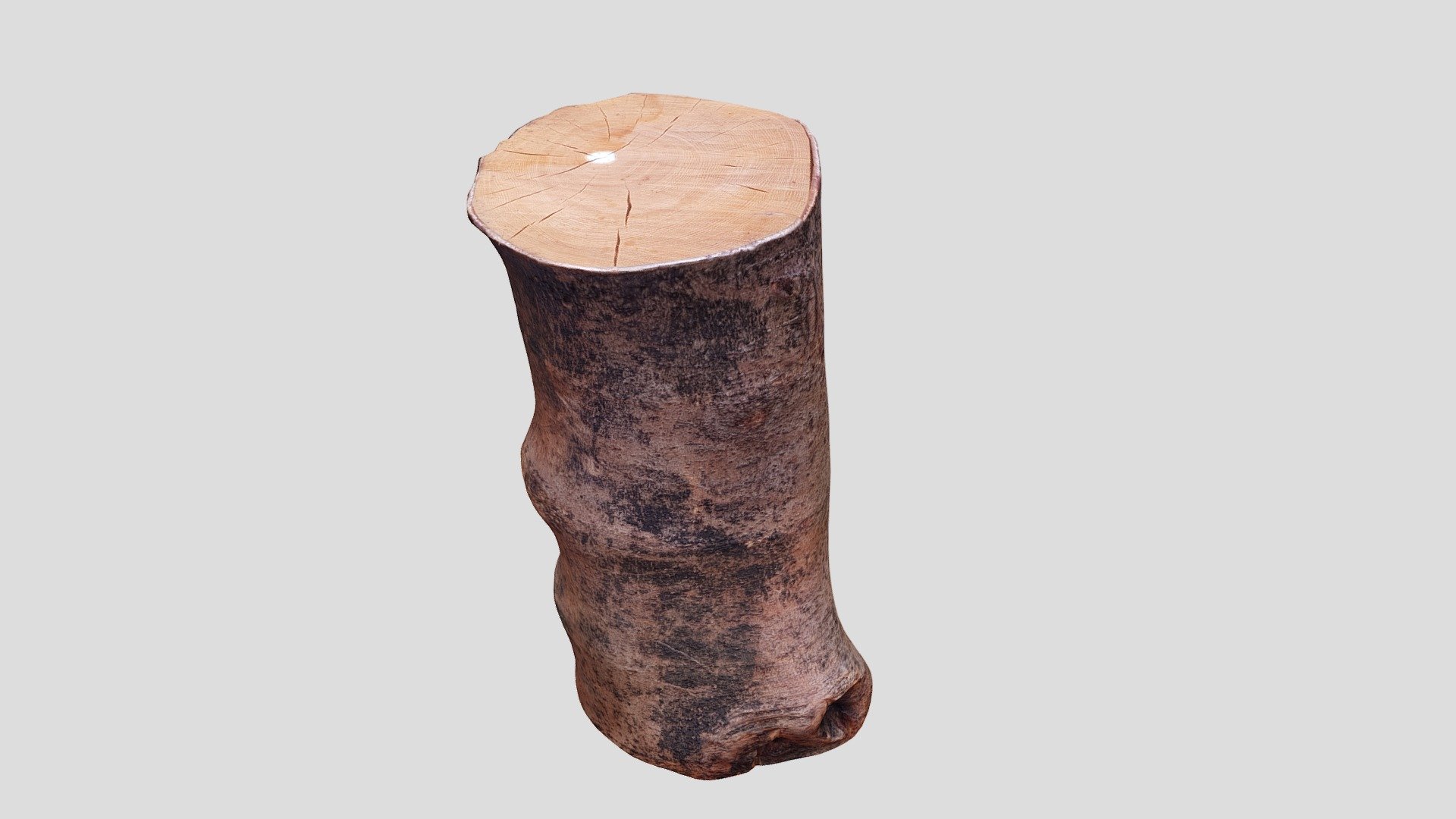Tree Stump.