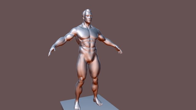 Body-anatomy 3D Model
