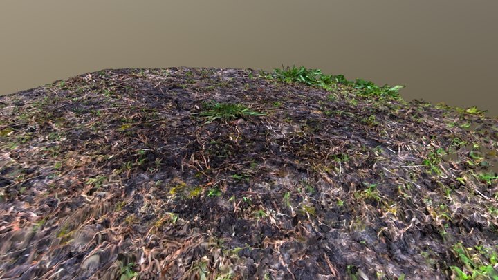 Ground & Grass Test 3D Model