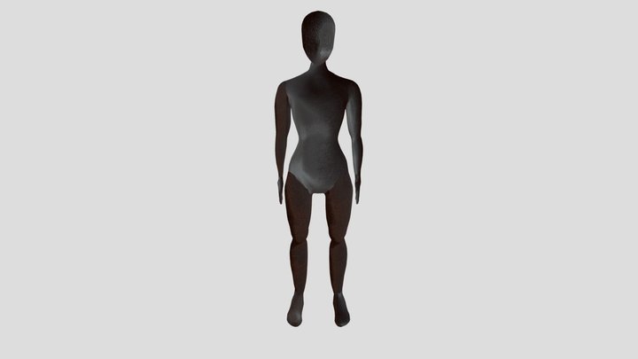 Character (without animation) 3D Model