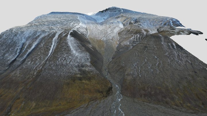 Forefield of Foxfanna Glacier 3D Model